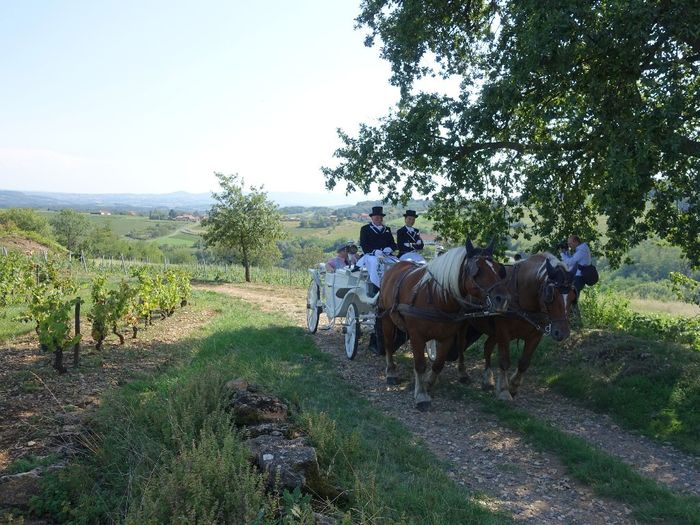 en route pour la fête 
