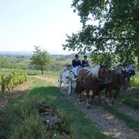 en route pour la fête 