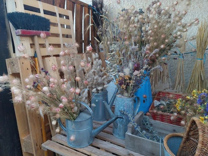 dyi fleurs 🌸  séchés 2