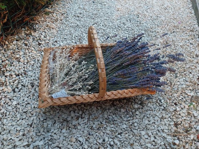 dyi fleurs 🌸  séchés 3