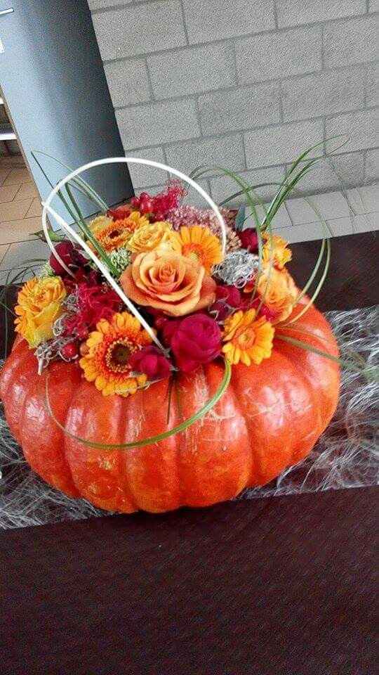 Couleur de décoration - 5