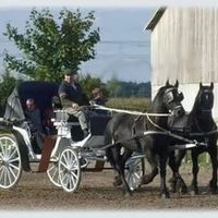 Quelles voitures aurez-vous au mariage pour vous emmener à la mairie? - 1