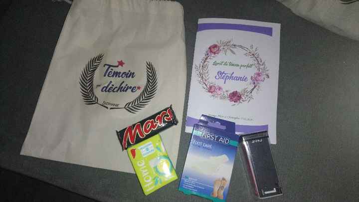 a la recherche d'idées kit témoins - 6