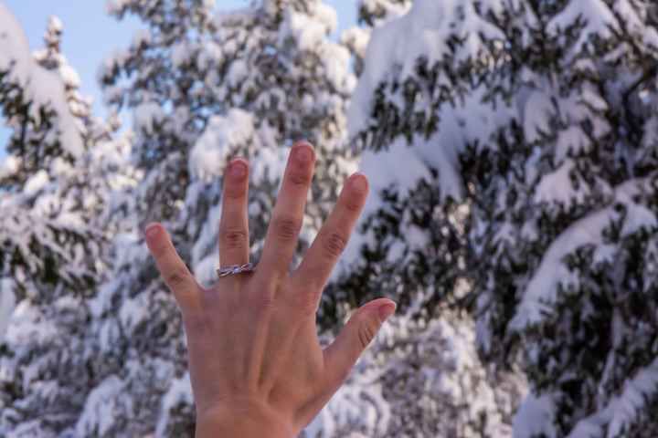 Demande de fiançailles