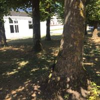 Possible changement de cérémonie à 8 mois du mariage ! - 2