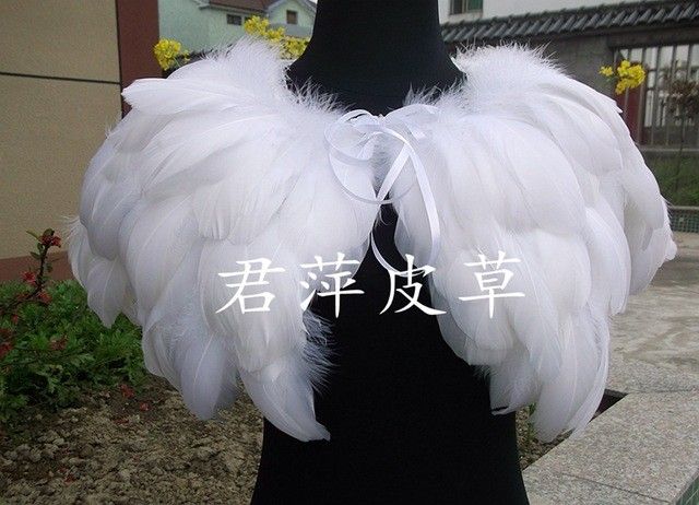 Inspi plumes - 2