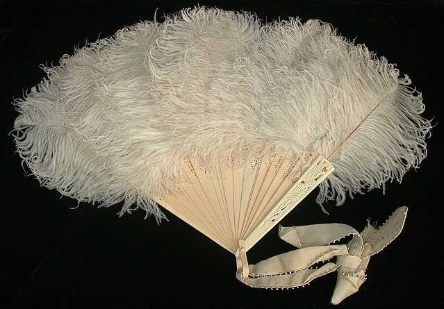 Inspi plumes - 5