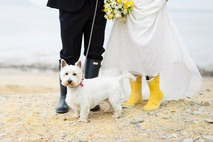 Mariage sous la pluie ☔ - 6