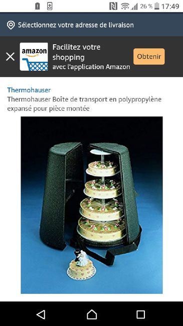 Gâteau transport cuisine salle - 1