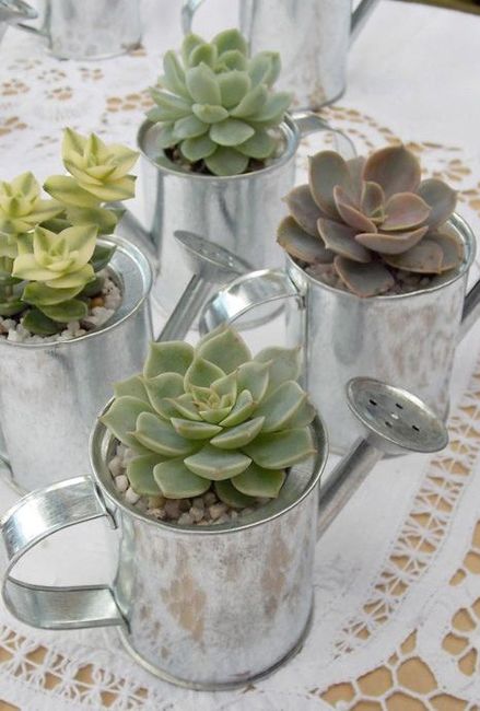 Inspi arrosoir - 5