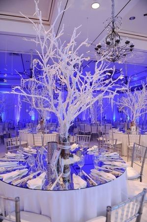 Inspi glace - 20
