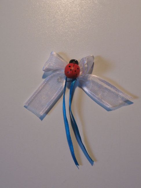 Inspi coccinelle 🐞 - 11