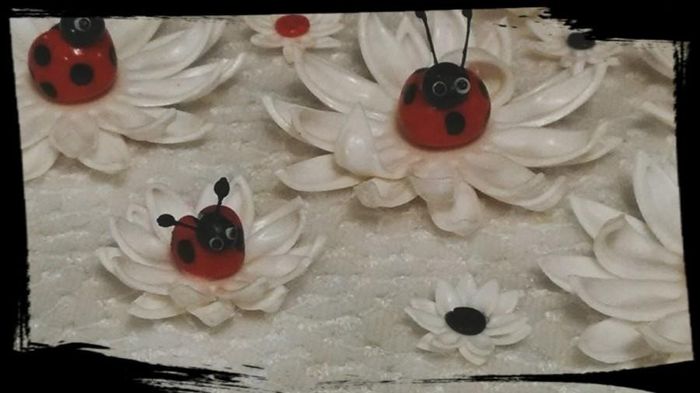 Inspi coccinelle 🐞 - 14