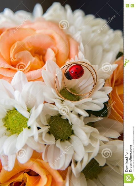 Inspi coccinelle 🐞 - 20