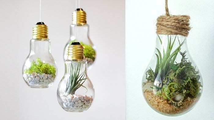 Des ampoules décoratives - 17