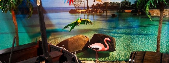 Inspi jungle - 38