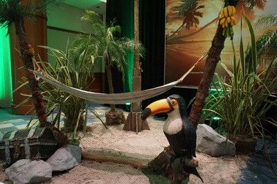 Inspi jungle - 41