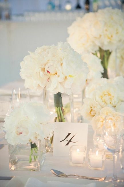 Inspi blanche - 11