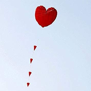 Inspi cerf volant - 22