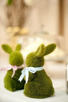 Inspi animale - 11