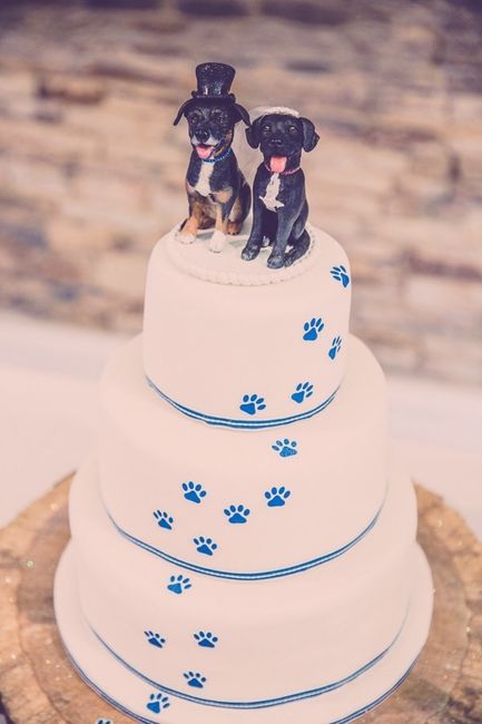 Inspi animale - 20
