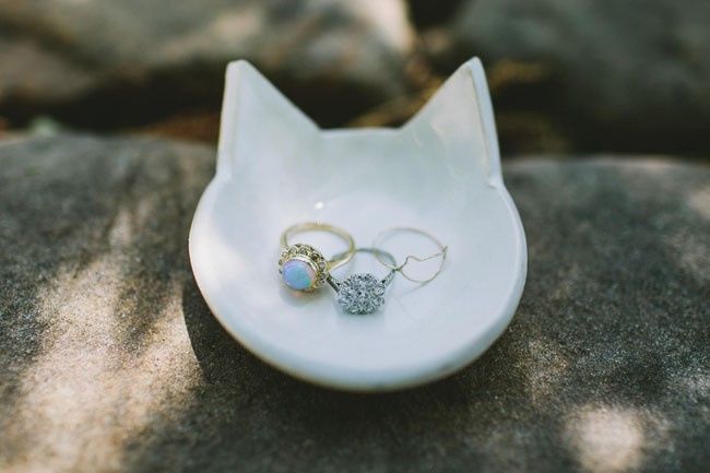 Inspi animale - 30