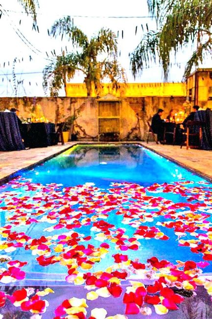 Mariage en piscine - 7