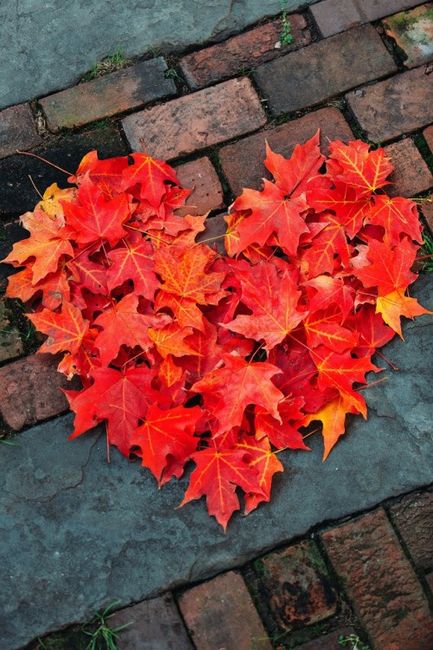 Inspi automne (citrouilles) - 5