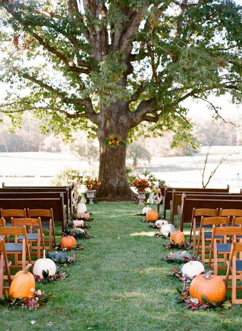 Inspi automne (citrouilles) - 9