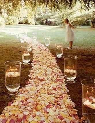 Allées de mariage - 1