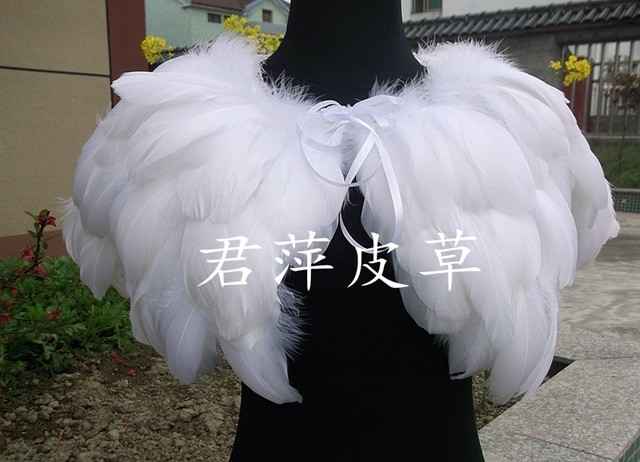 Inspi plumes - 2