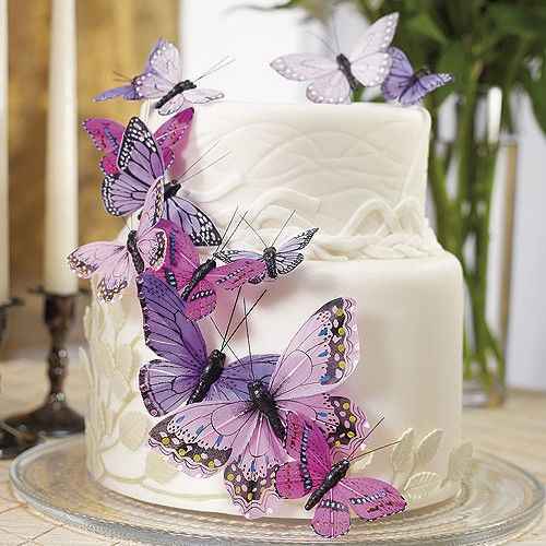 Inspi papillon 🦋 - 26