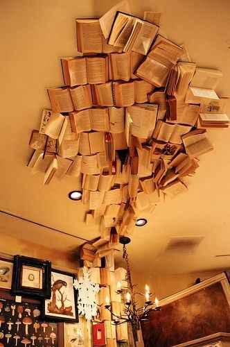 Inspi livre 📙 - 7