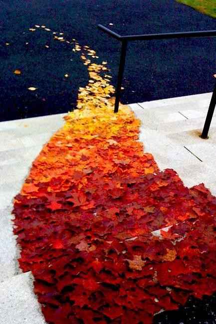Inspi automne 🍃 - 4