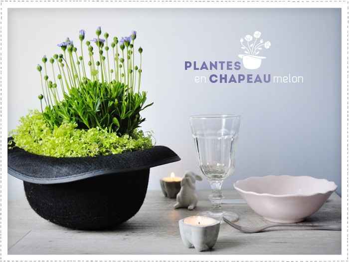 Des chapeaux en déco - 9