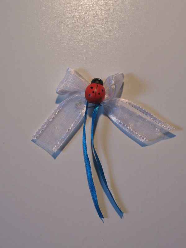 Inspi coccinelle 🐞 - 11