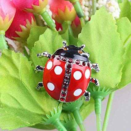 Inspi coccinelle 🐞 - 17