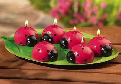 Inspi coccinelle 🐞 - 22