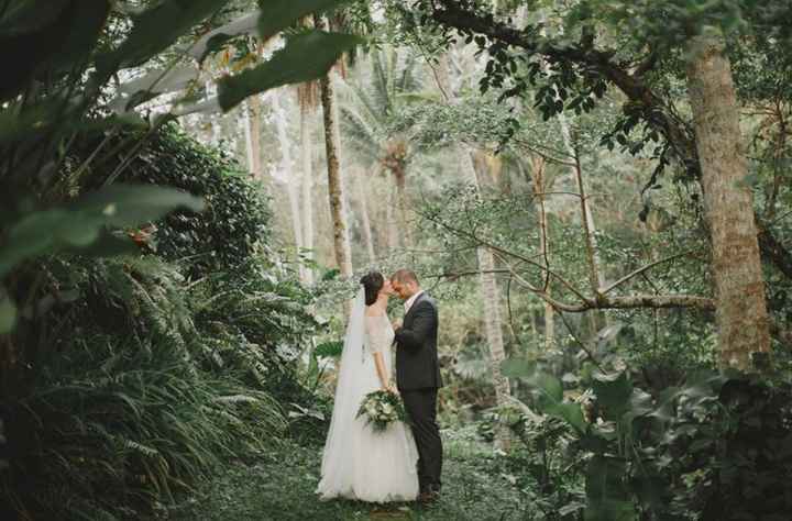 Inspi jungle - 1