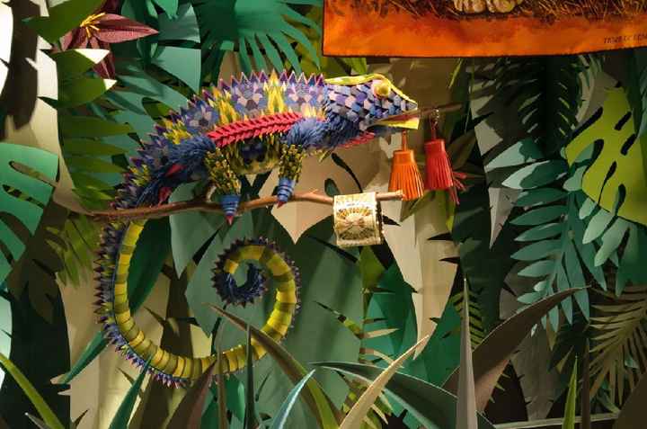 Inspi jungle - 6