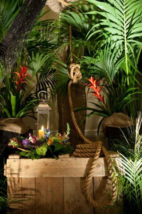 Inspi jungle - 36