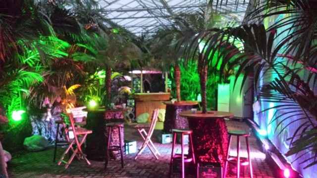 Inspi jungle - 39