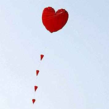 Inspi cerf volant - 22