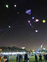 Inspi cerf volant - 25