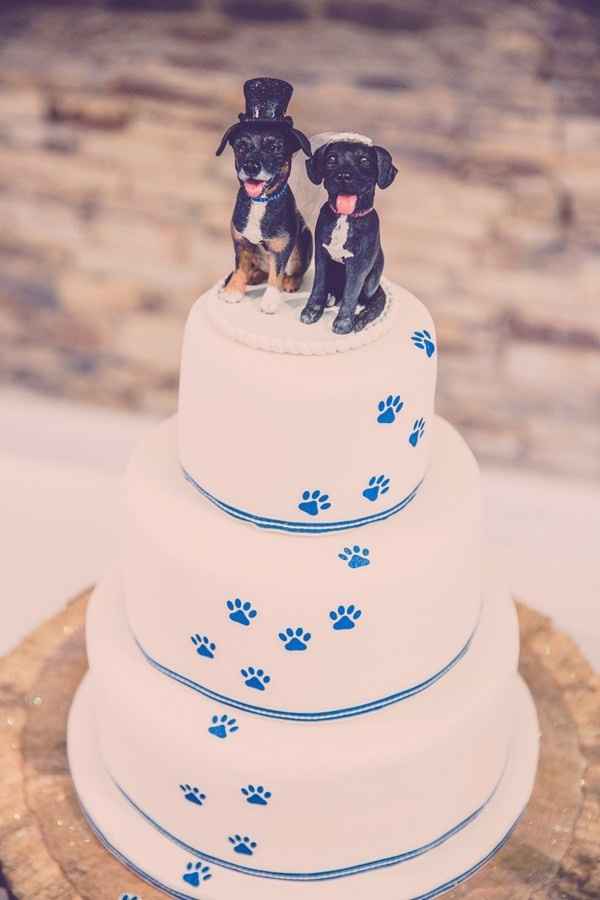 Inspi animale - 20