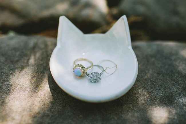Inspi animale - 30