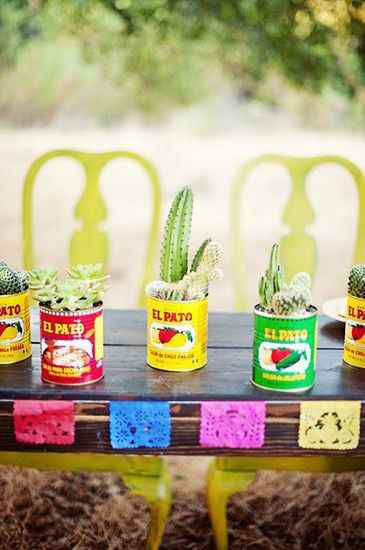 Inspi cactus - 2
