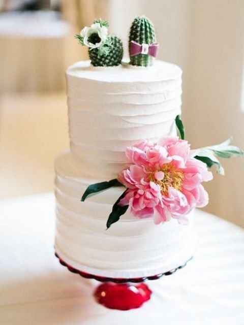 Inspi cactus - 5