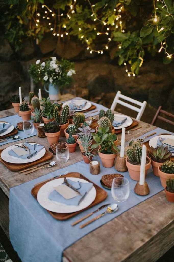 Inspi cactus - 10