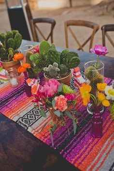 Inspi cactus - 13